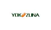 Yokozuna Yokozuna