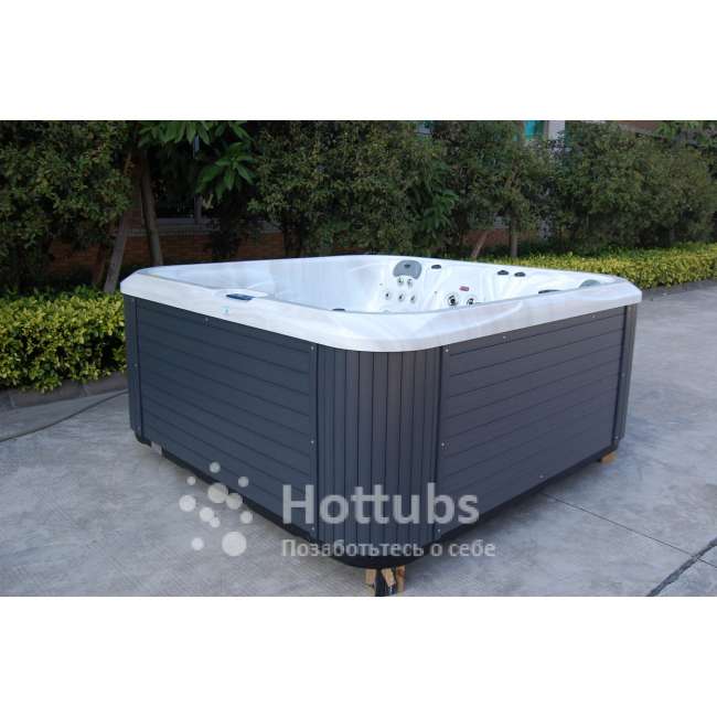 Allseas Spas DS 201