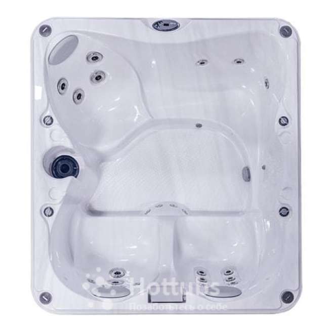 Jacuzzi Premium J-225